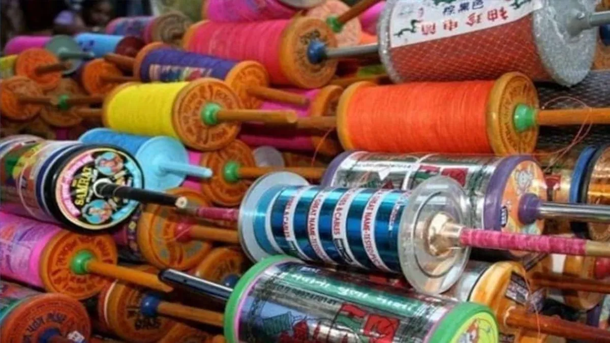 मकर संक्रांति पर चाइनीज मांझे पर पूर्ण प्रतिबंध, जिला कलेक्टर ने जारी किए निषेधात्मक आदेश