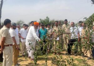 अंतर्राष्ट्रीय वन दिवस पर मरुधरा वानस्पतिक उद्यान में कौशल उन्नयन कार्यशाला आयोजित