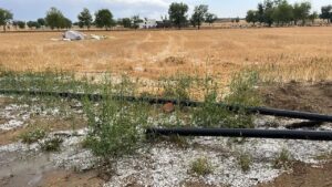 बरसात और ओलावृष्टि के बाद जिला कलेक्टर निशांत जैन के सख्त निर्देश, प्रभावित क्षेत्रों का होगा सर्वे