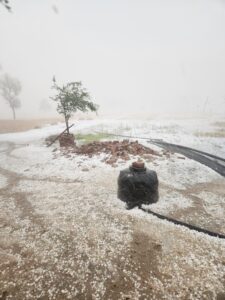 बरसात और ओलावृष्टि के बाद जिला कलेक्टर निशांत जैन के सख्त निर्देश, प्रभावित क्षेत्रों का होगा सर्वे