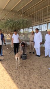 नोखा व पांचू क्षेत्र में मुख्य कार्यकारी अधिकारी का दौरा, विकास कार्यों का लिया जायजा