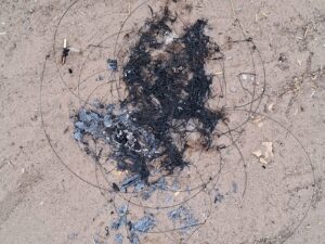 चाइनीस मांझे का बढ़ता खतरा: जानलेवा साबित हो रहा सिंथेटिक धागा