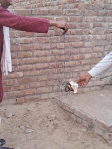 चाइनीस मांझे का बढ़ता खतरा: जानलेवा साबित हो रहा सिंथेटिक धागा