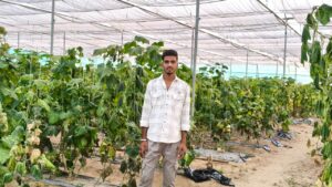 मुख्यमंत्री भजनलाल शर्मा का कृषक कल्याण का सपना हो रहा साकार