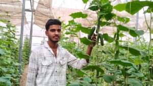 मुख्यमंत्री भजनलाल शर्मा का कृषक कल्याण का सपना हो रहा साकार